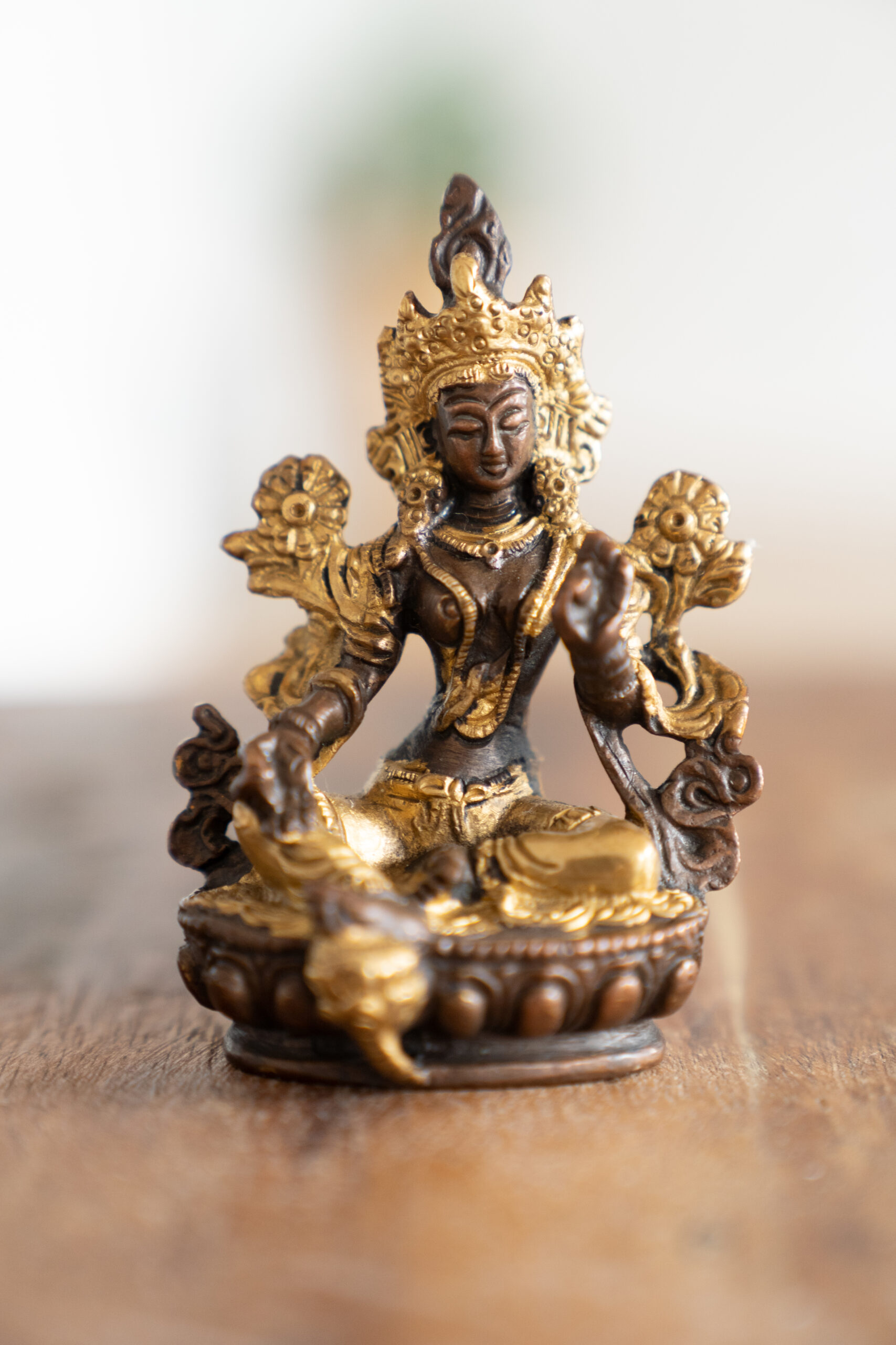 Tara